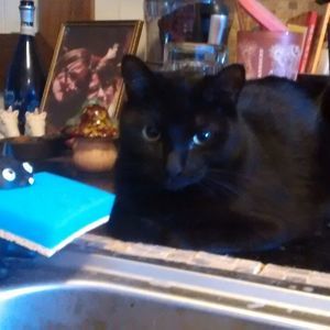 Meet your Posher, Billie jo